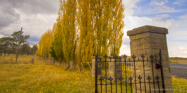 Autumn in Bathurst